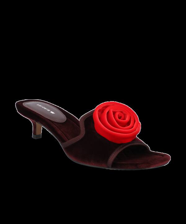 The Kiwi Kitten Flower – Burgundy Velvet