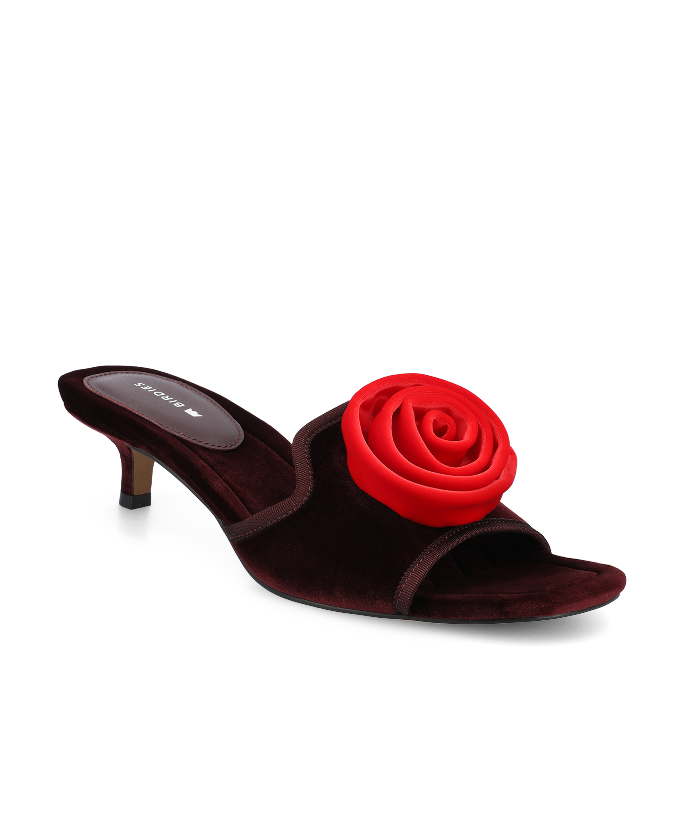 The Kiwi Kitten Flower – Burgundy Velvet