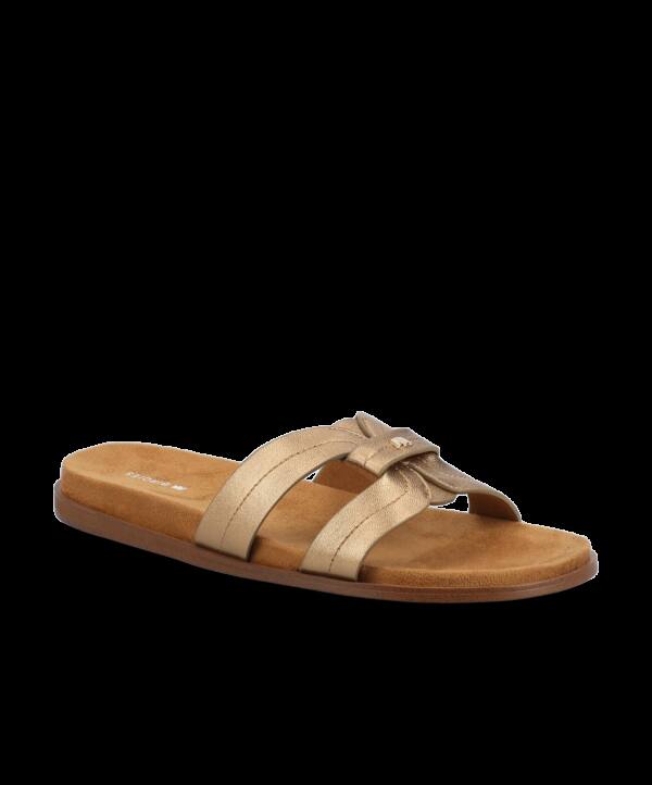 The Sunbird Icon – Gold Leather