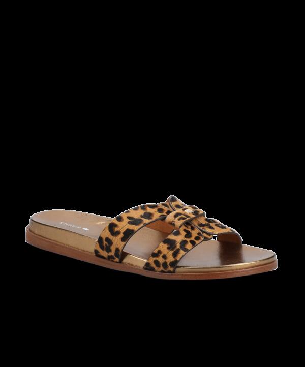 The Sunbird Icon – Leopardprint Haircalf