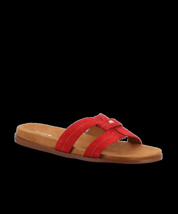 The Sunbird Icon – Red Suede